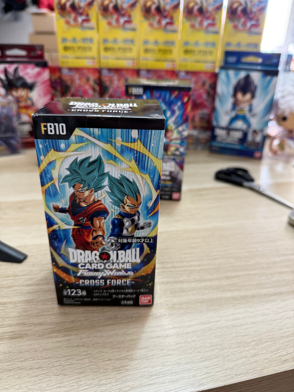 Dragon Ball FB10 Display Jap