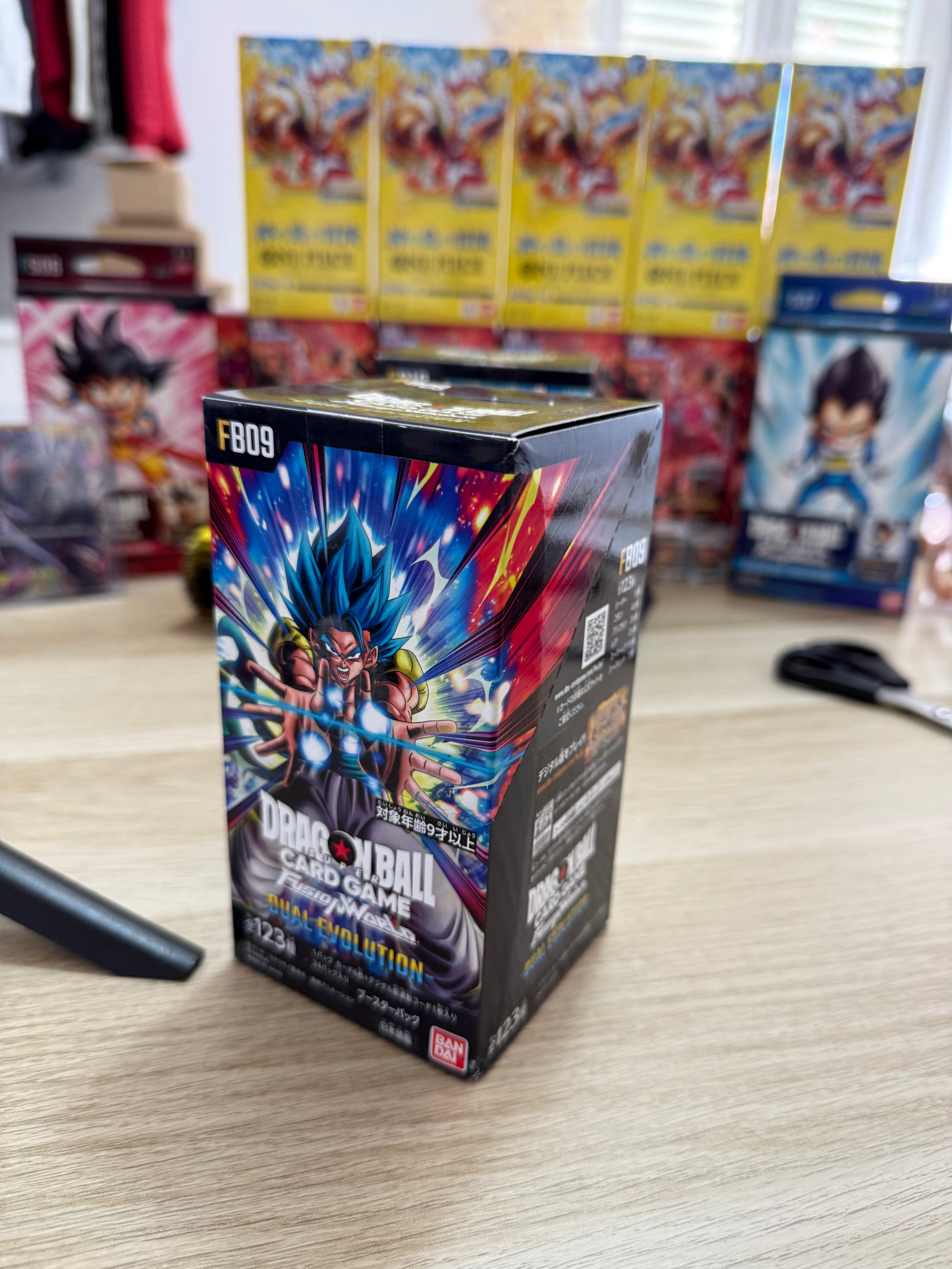 Dragon Ball FB09 Display Jap