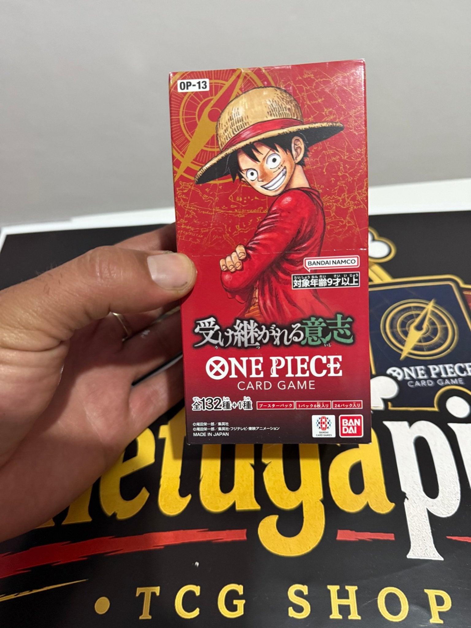 One Piece OP-13 Carrying on His Will Display Japonês